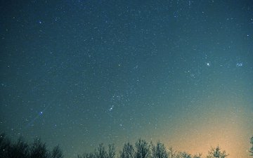 Sortie du 15 Février 2013