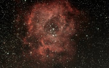 NGC 2238 (Nébuleuse de la Rosette)